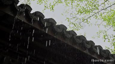 屋檐雨滴雨季雨天雨景古建筑意境